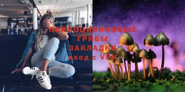 прущая мука Абаза