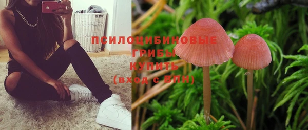 дмт Абинск